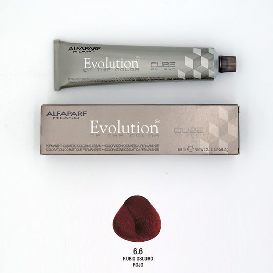 Tinte - Evolution of Color 6.6 - Alfaparf